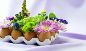 Cách cắm hoa độc đáo từ vỏ trứng